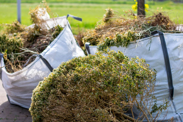Best Moving and Downsizing Cleanouts  in Demarest, NJ