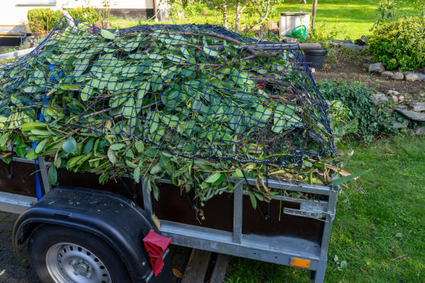Professional Junk Removal Services in Demarest, NJ